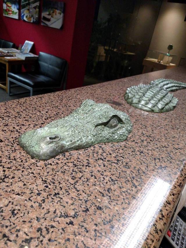 daily picdump 100 pics 4.html - 100 HD Photos | Premium Gallery 2018