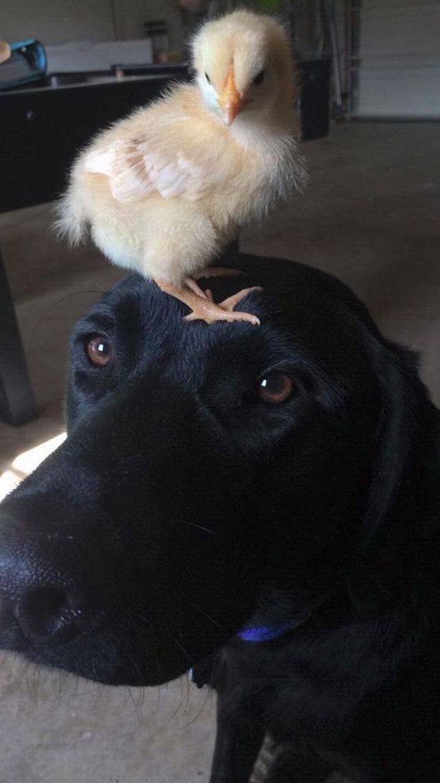Daily Picdump