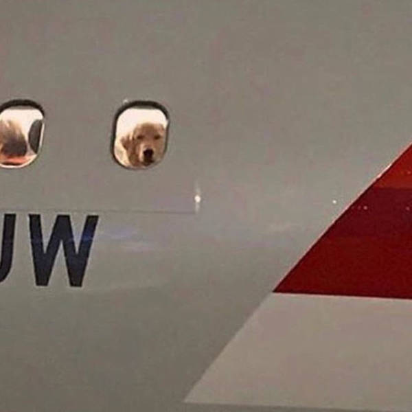 morning picdump 51 pics 6.html - 51 HD Photos | Premium Gallery 2018