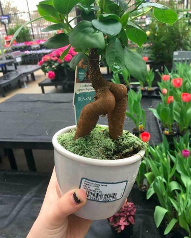 morning picdump 51 pics 6.html - 51 HD Photos | Premium Gallery 2018