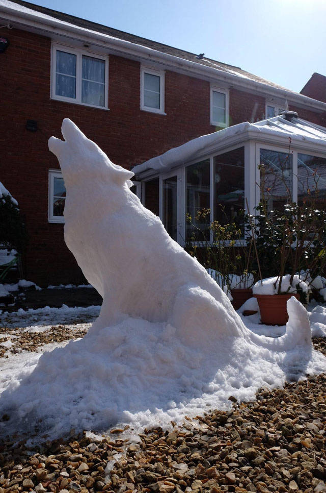 morning picdump 51 pics 6.html - 51 HD Photos | Premium Gallery 2018