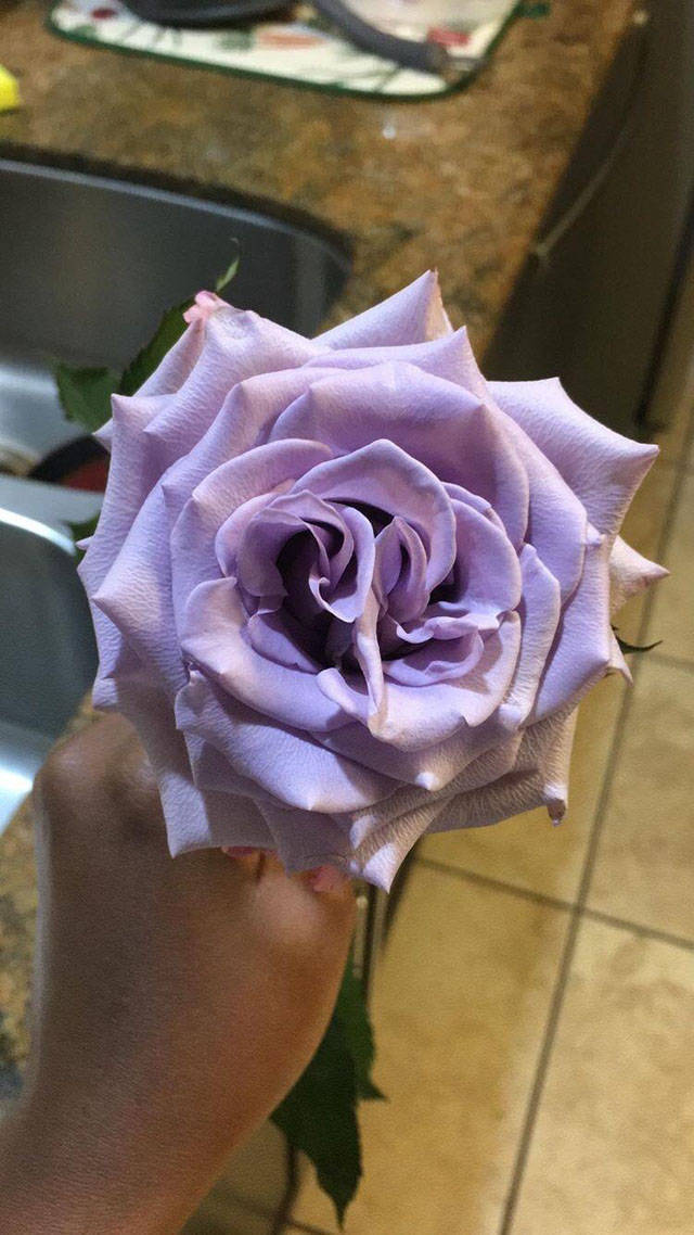 morning picdump 55 pics 24.html - 55 HD Photos | Premium Gallery 2018