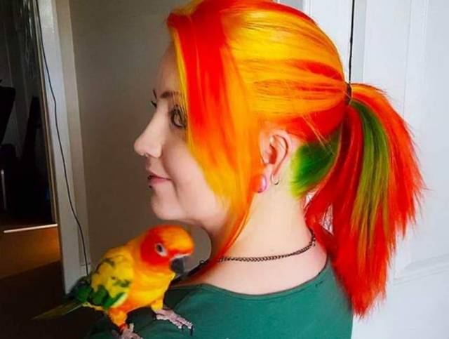 Daily Picdump