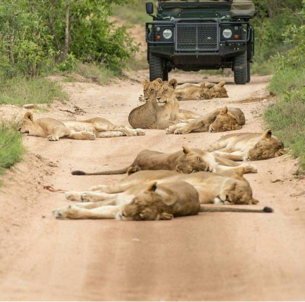 daily picdump 108 pics 4.html - 108 HD Photos | Premium Gallery 2018