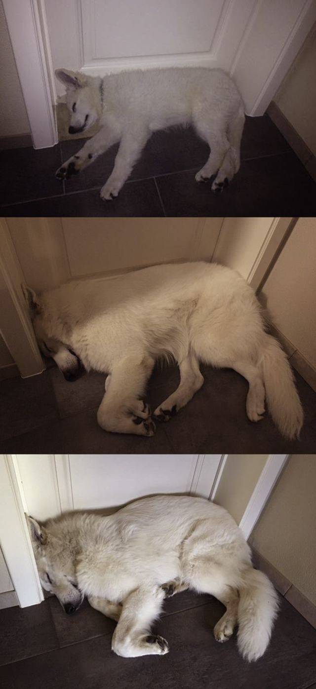 daily picdump 108 pics 4.html - 108 HD Photos | Premium Gallery 2018