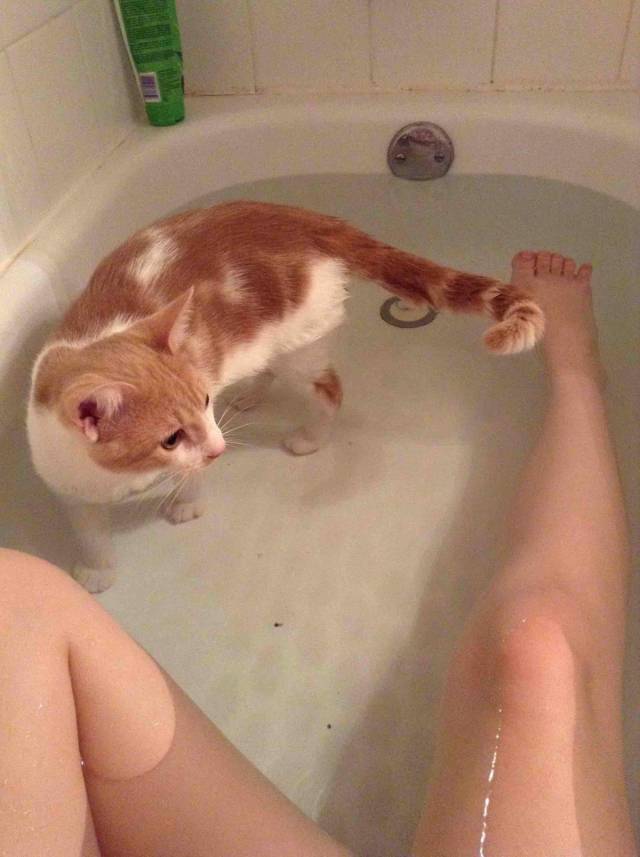 Daily Picdump