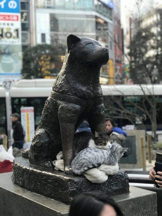 daily picdump 108 pics 4.html - 108 HD Photos | Premium Gallery 2018