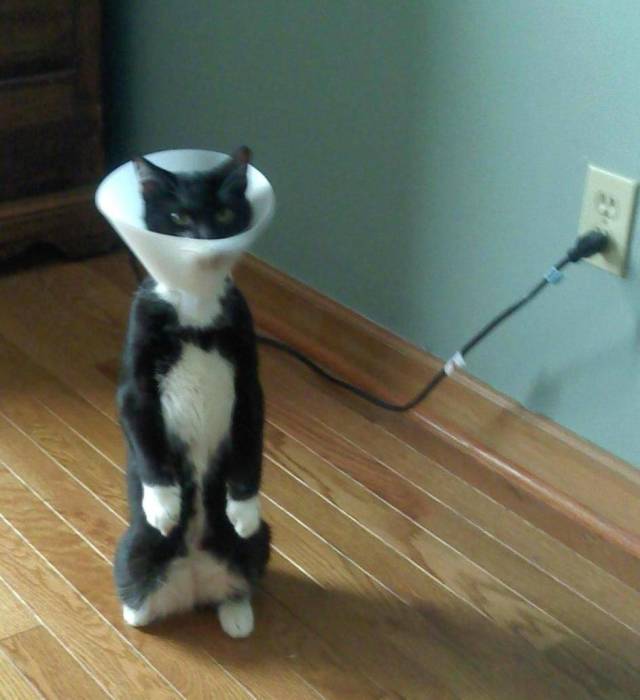 daily picdump 108 pics 4.html - 108 HD Photos | Premium Gallery 2018