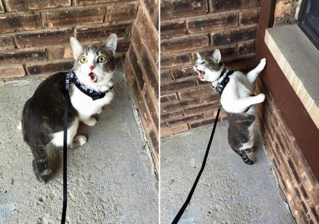 First Time Is Always The Sweetest