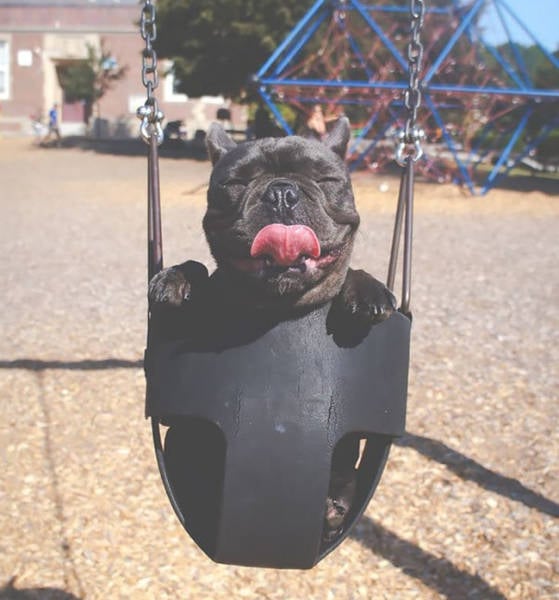 First Time Is Always The Sweetest