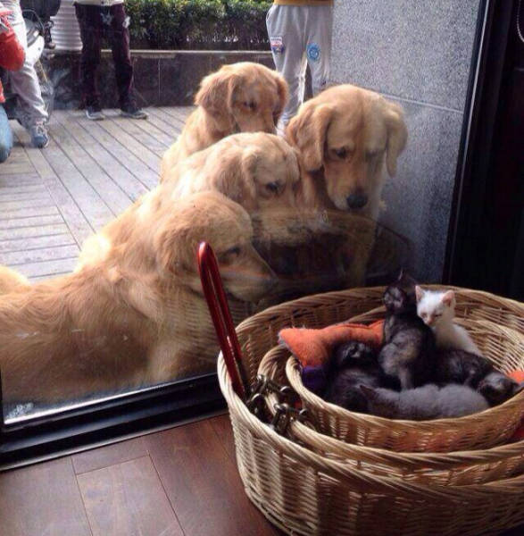 First Time Is Always The Sweetest