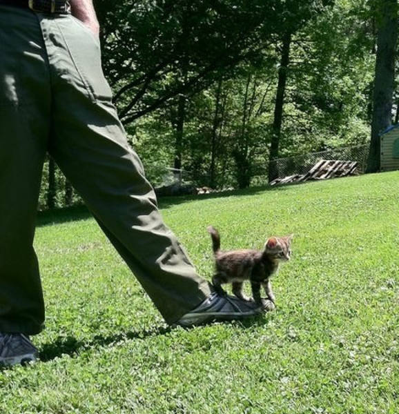 First Time Is Always The Sweetest