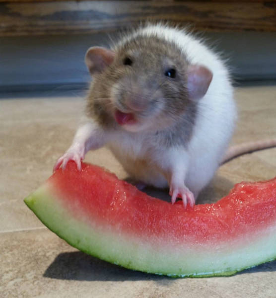 First Time Is Always The Sweetest