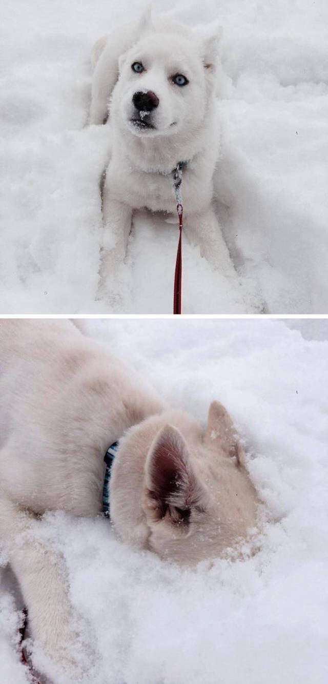 First Time Is Always The Sweetest