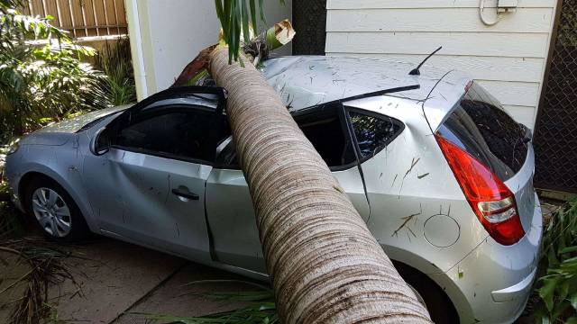 morning picdump 54 pics 4.html - 54 HD Photos | Premium Gallery 2018