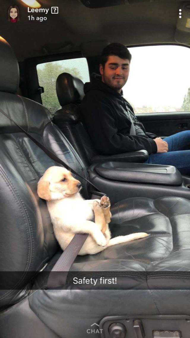 morning picdump 54 pics 4.html - 54 HD Photos | Premium Gallery 2018