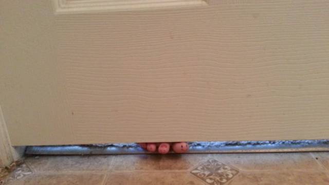 daily picdump 98 pics 11.html - 98 HD Photos | Premium Gallery 2018