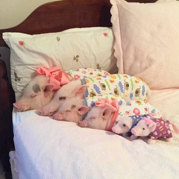 daily picdump 98 pics 11.html - 98 HD Photos | Premium Gallery 2018