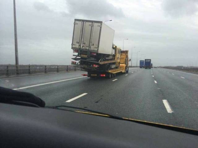 daily picdump 98 pics 11.html - 98 HD Photos | Premium Gallery 2018