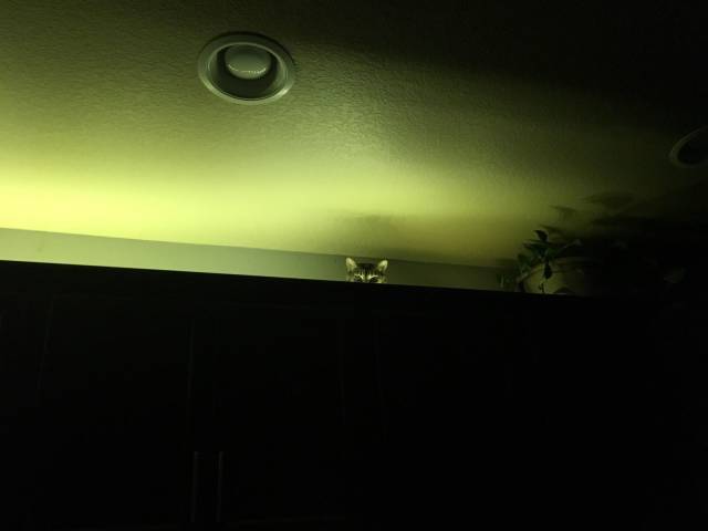 daily picdump 98 pics 11.html - 98 HD Photos | Premium Gallery 2018