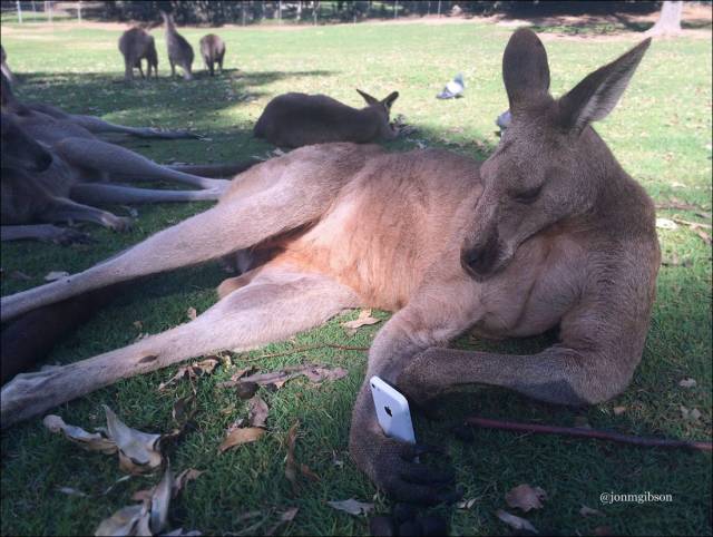 daily picdump 98 pics 11.html - 98 HD Photos | Premium Gallery 2018