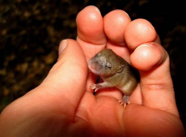 daily picdump 98 pics 11.html - 98 HD Photos | Premium Gallery 2018