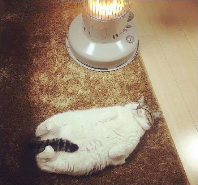 daily picdump 98 pics 11.html - 98 HD Photos | Premium Gallery 2018