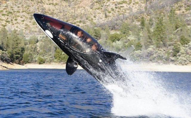 daily picdump 98 pics 11.html - 98 HD Photos | Premium Gallery 2018