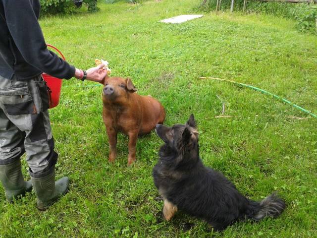 daily picdump 98 pics 11.html - 98 HD Photos | Premium Gallery 2018