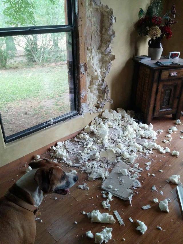 daily picdump 98 pics 11.html - 98 HD Photos | Premium Gallery 2018