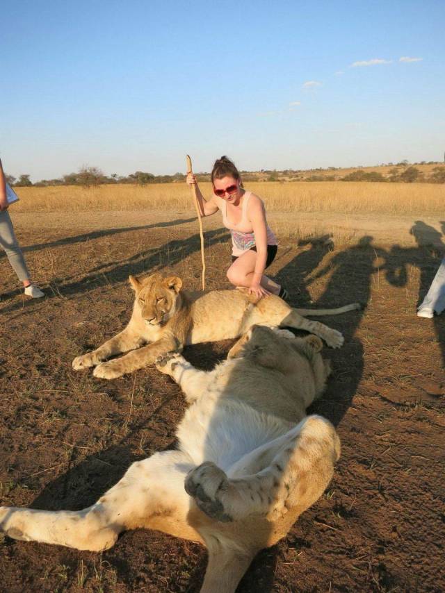 daily picdump 98 pics 11.html - 98 HD Photos | Premium Gallery 2018