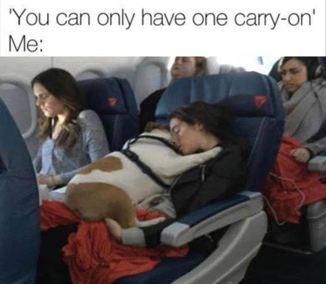funny picdump 51 pics 21.html - 51 HD Photos | Premium Gallery 2018