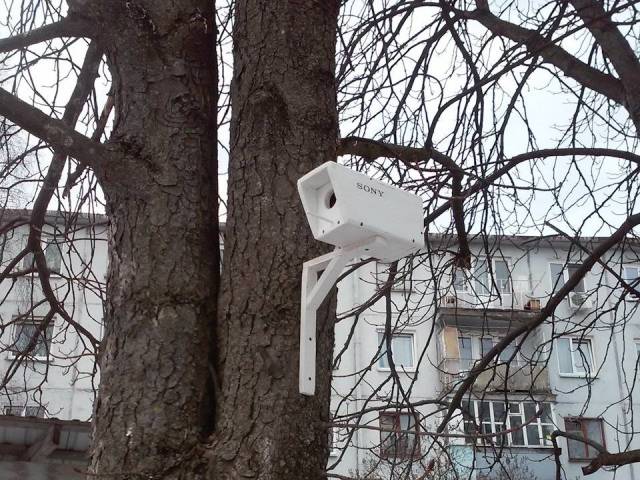 morning picdump 50 pics 21.html - 50 HD Photos | Premium Gallery 2018