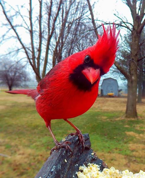 morning picdump 50 pics 21.html - 50 HD Photos | Premium Gallery 2018