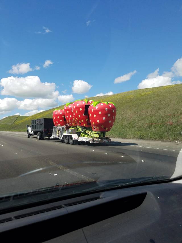 daily picdump weekend edition 52 pics 4.html - 52 HD Photos | Premium Gallery 2018