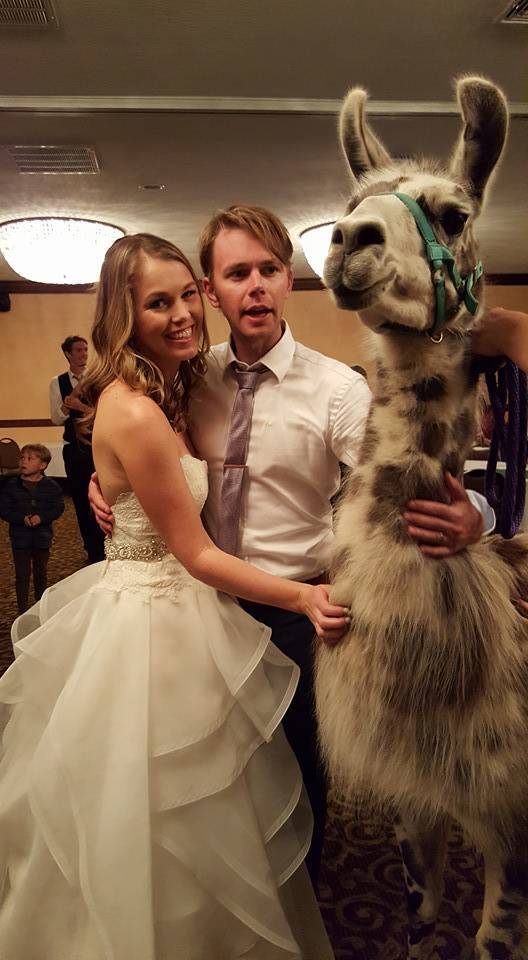 daily picdump weekend edition 52 pics 4.html - 52 HD Photos | Premium Gallery 2018