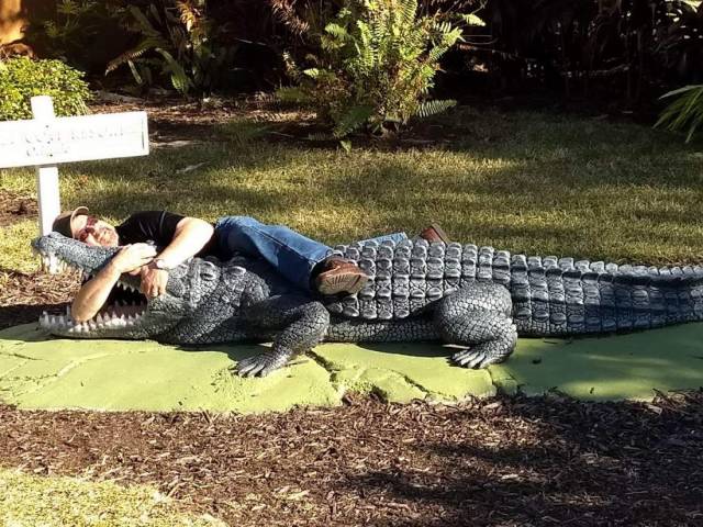 daily picdump 101 pics 46.html - 101 HD Photos | Premium Gallery 2018