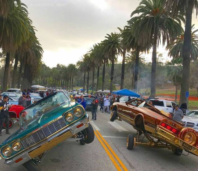 daily picdump 101 pics 46.html - 101 HD Photos | Premium Gallery 2018