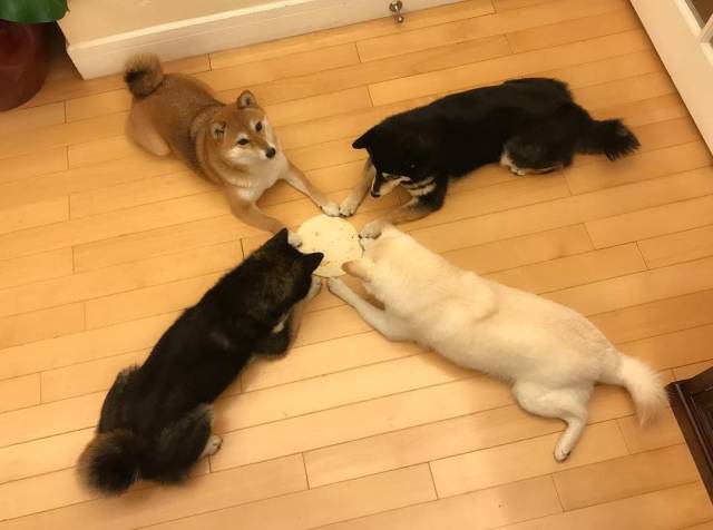 daily picdump 101 pics 46.html - 101 HD Photos | Premium Gallery 2018