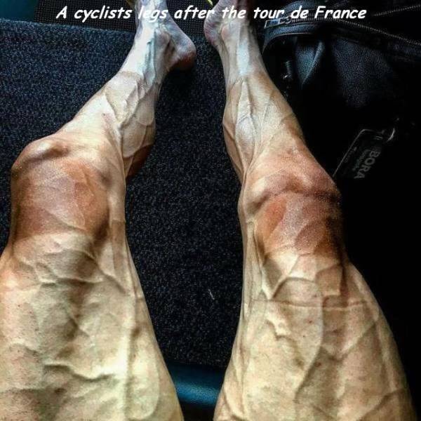 daily picdump 101 pics 46.html - 101 HD Photos | Premium Gallery 2018