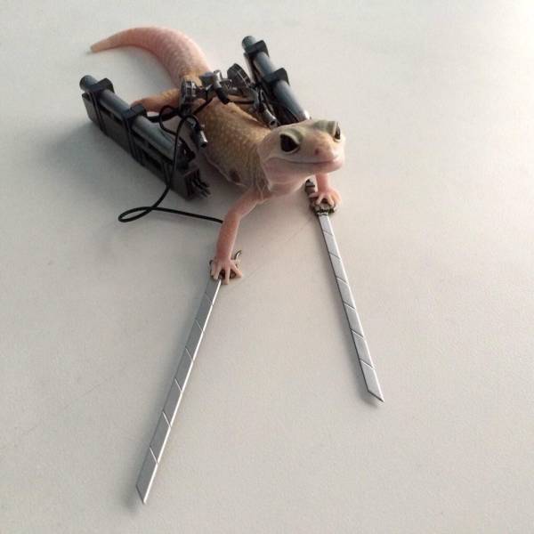 daily picdump 101 pics 46.html - 101 HD Photos | Premium Gallery 2018