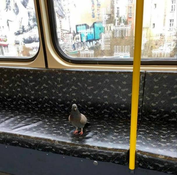 daily picdump 101 pics 46.html - 101 HD Photos | Premium Gallery 2018