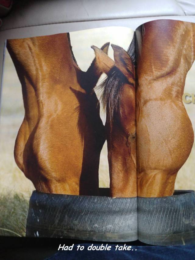 daily picdump 101 pics 46.html - 101 HD Photos | Premium Gallery 2018