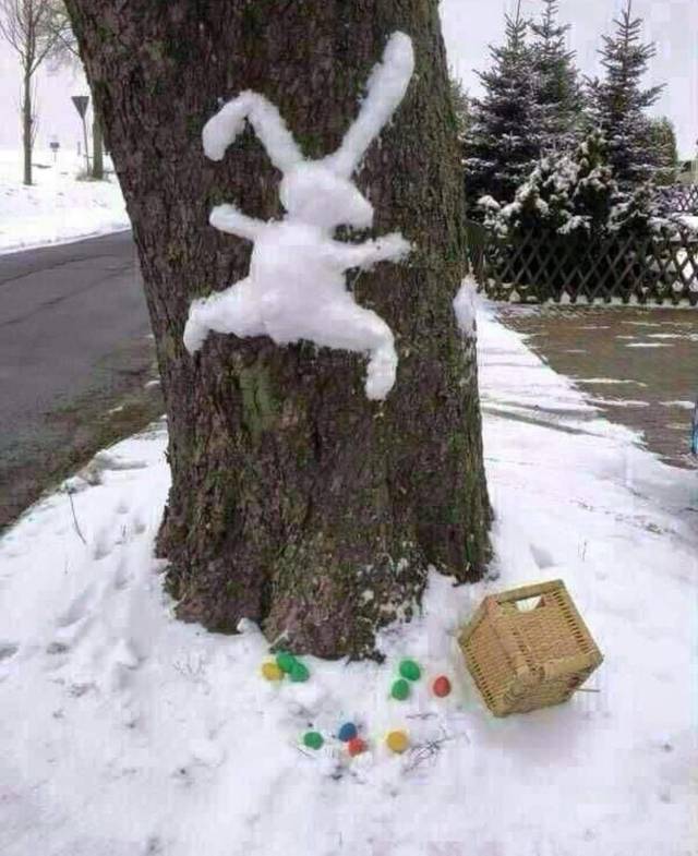 daily picdump 101 pics 46.html - 101 HD Photos | Premium Gallery 2018