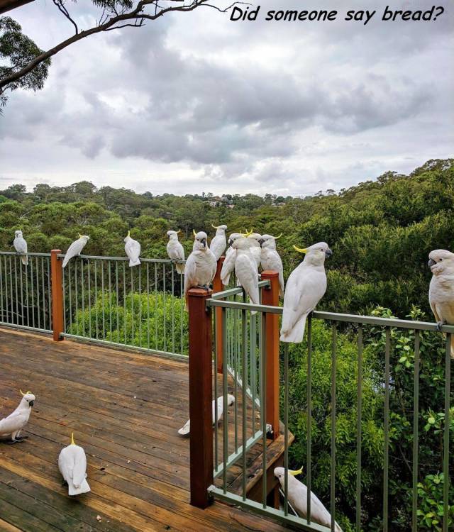 daily picdump 101 pics 46.html - 101 HD Photos | Premium Gallery 2018