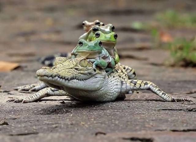 daily picdump 94 pics 4.html - 94 HD Photos | Premium Gallery 2018