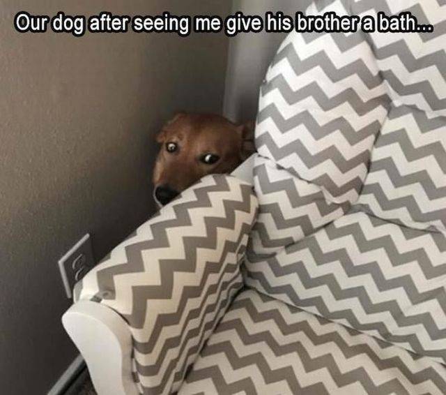 daily picdump 94 pics 4.html - 94 HD Photos | Premium Gallery 2018