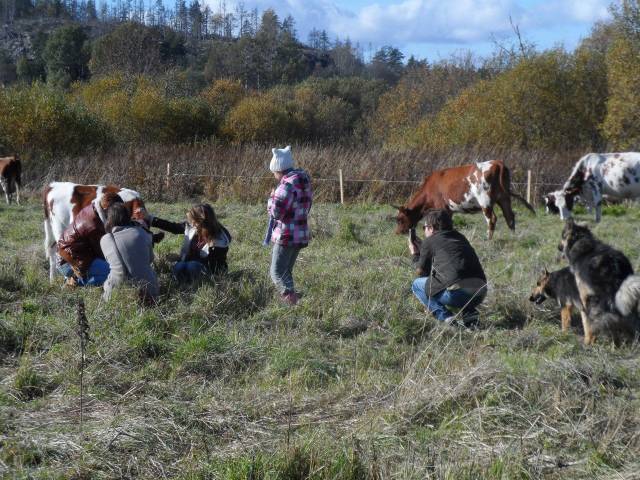 daily picdump 94 pics 4.html - 94 HD Photos | Premium Gallery 2018