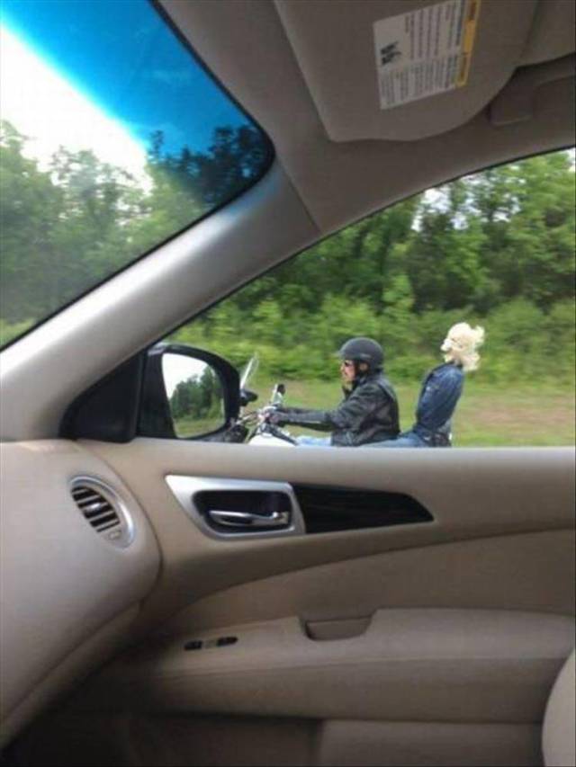 daily picdump 94 pics 4.html - 94 HD Photos | Premium Gallery 2018