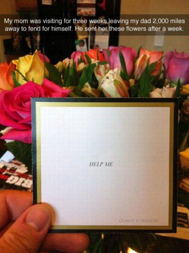 daily picdump 94 pics 4.html - 94 HD Photos | Premium Gallery 2018